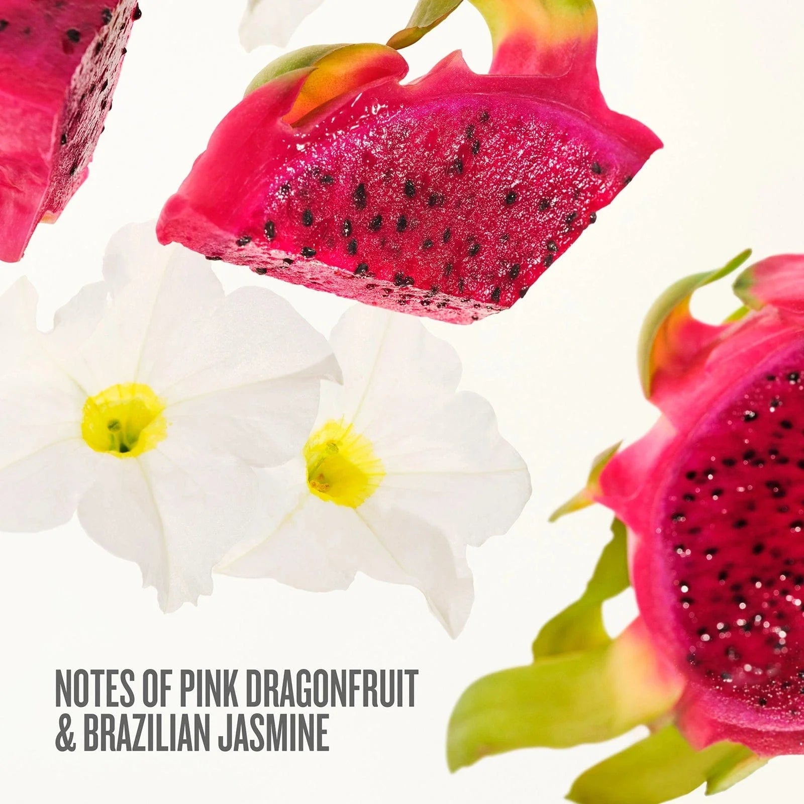 Make It a Party Beija Flor™ Body Routine Set