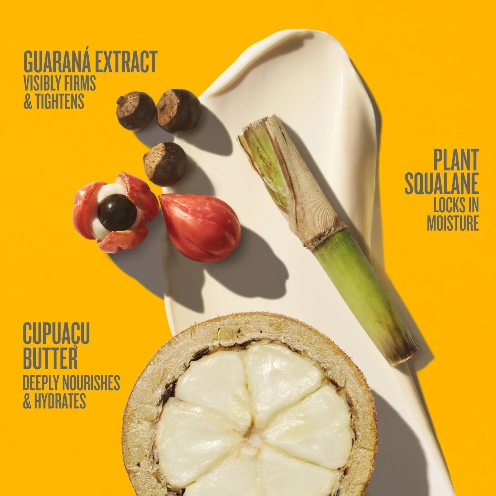 Brazilian Icons Duo | Online Exclusive